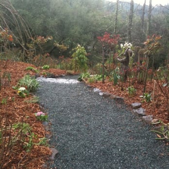 Rombauer Vineyards - trail - Wineries Near Me - St. Helena, California