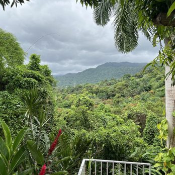 Rainforest Zipline Park - View from waiting area. - Tours Near Me - Rio Grande, Puerto Rico