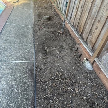 Tom 4 Stumps - Tree Services Near Me - San Jose, California Tom 4 Stumps - Tree Services Near Me - San Jose, California