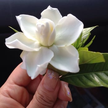 Posy Nail Spa - Ombré sparkles by posy nails - Nail Salons Near Me - Vancouver, British Columbia Posy Nail Spa - Ombré sparkles by posy nails - Nail Salons Near Me - Vancouver, British Columbia
