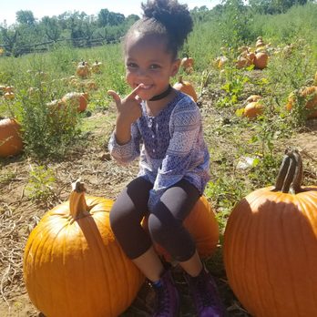 Battleview Orchards - Pick Your Own Farms Near Me - Freehold, New Jersey