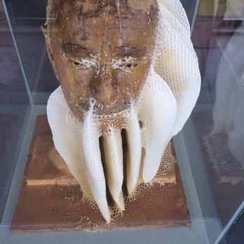 Big Island Bees - Honey Near Me - Captain Cook, Hawaii