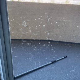 Screen door with tears