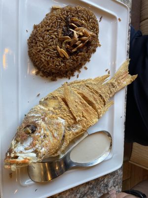 Aliz Seafood and Grill House by null