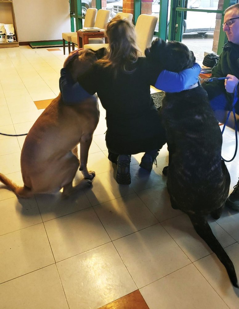 COMMUNITY PET HOSPITAL Updated September 2024 21 Photos & 46