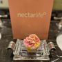 Photo of Nectar Life