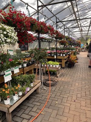 Denny McKeown's Bloomin Garden Centre