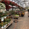 Denny McKeown's Bloomin Garden Centre gift card