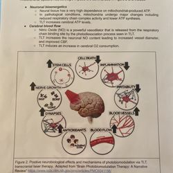 LaserMD Pain Relief - From the front office literature