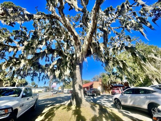 Twin Oaks BBQ by null