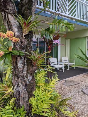 Kauai Shores Hotel by null
