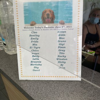 Eco Deco Pet Hospital - Veterinarians Near Me - Miami Beach, Florida Eco Deco Pet Hospital - Veterinarians Near Me - Miami Beach, Florida