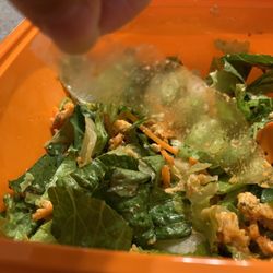 Salad and Go - Large piece of plastic in salad.