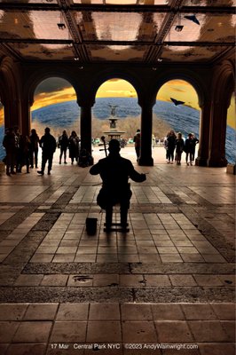 Central Park Conservancy by null