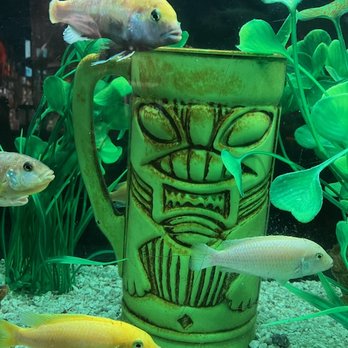Kon Tiki Restaurant & Lounge - Aquarium - American Near Me - Tucson, Arizona