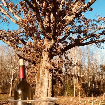 DelMonaco Winery - Venues & Event Spaces Near Me - Baxter, Tennessee