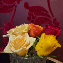 Le Tosh - Frische Rosen