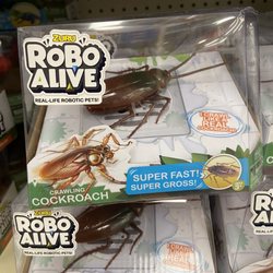 Tutu Park Mall - RC cockroach at the K mart