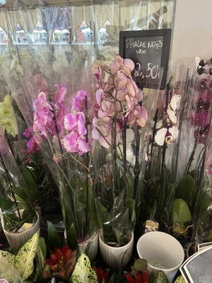 Mercado da Vila by null