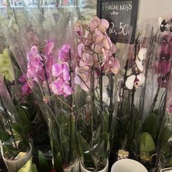 Mercado da Vila - Flower shop