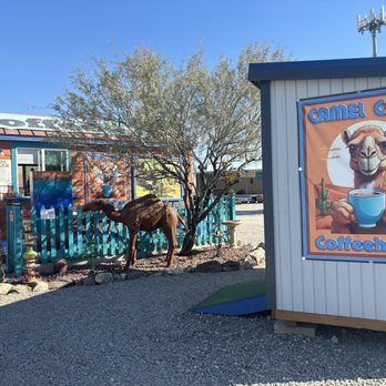 Camel Camp Coffeehouse - Cute oasis in the desert - Coffee & Tea Near Me - Quartzsite, Arizona
