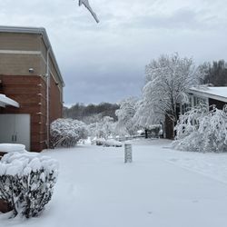 Barrie School