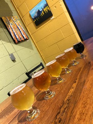 Mountain Toad Brewing by null