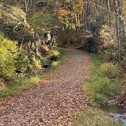 Hop River State Park Trail