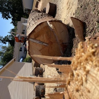 K&J Tree Works - Tree Services Near Me K&J Tree Works - Tree Services Near Me