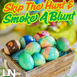 Unbeweedable Cannabis Dispensary - Skip the hunt, smoke a blunt! 
503 San Mateo Blvd NE Abq, NM 87108
Open on Easter!