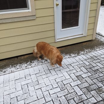 Imperial Hardscape - Pad with a structure on it, along with the beautiful patio pattern (and a dog) - Masonry/Concrete Near Me