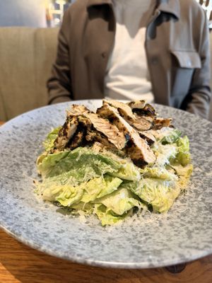 Finch & Fork by null