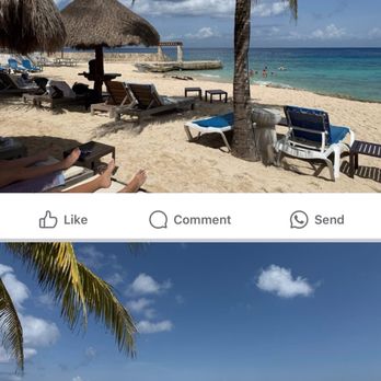 Buccanos Bar & Grill - Seafood Near Me - Cozumel, ROO Buccanos Bar & Grill - Seafood Near Me - Cozumel, ROO