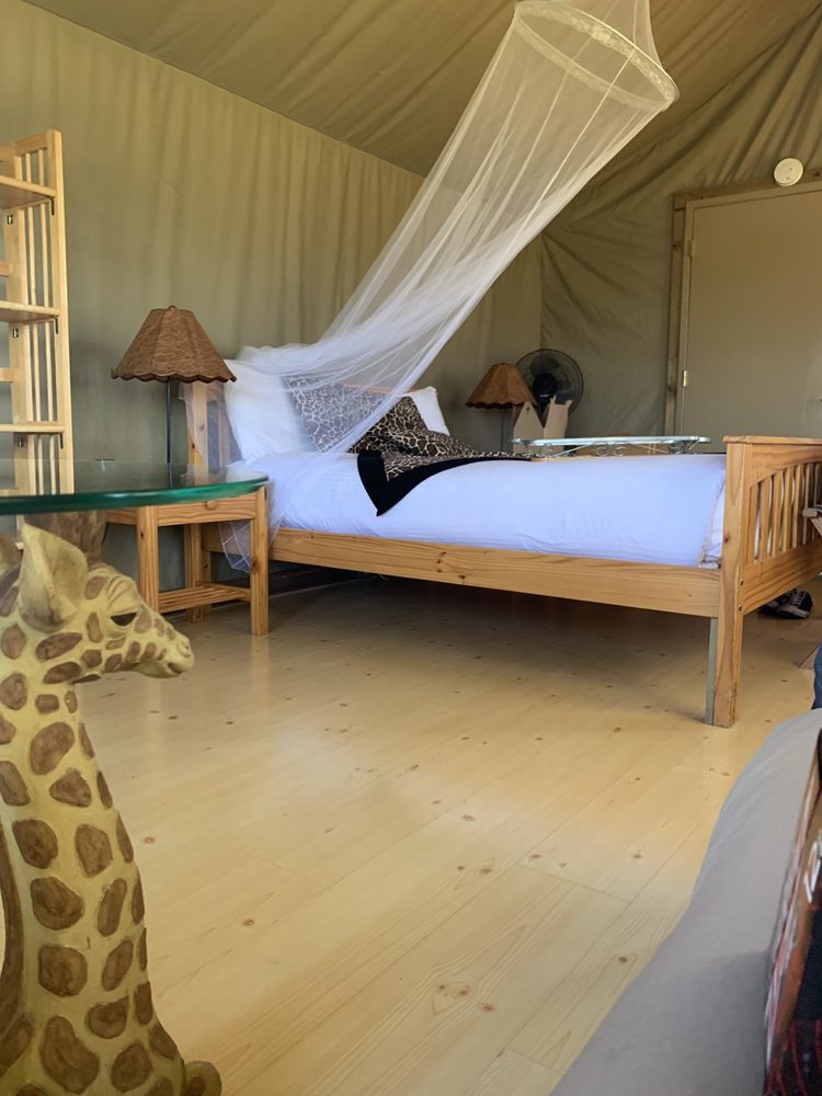 Monterey Zoo 266 Photos & 91 Reviews Zoos 400 River Rd, Salinas