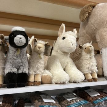 Death Valley Nut & Candy - Llamas! - Candy Stores Near Me - Beatty, Nevada