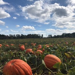 Red Wagon Farm