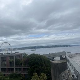 The view The view