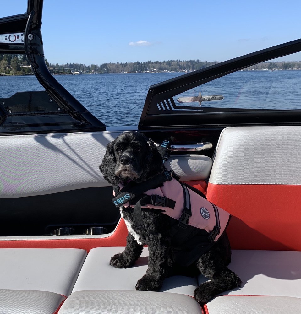 BOWS AND BISCUITS Updated June 2024 23 Photos & 38 Reviews 5935 Grove St, Marysville