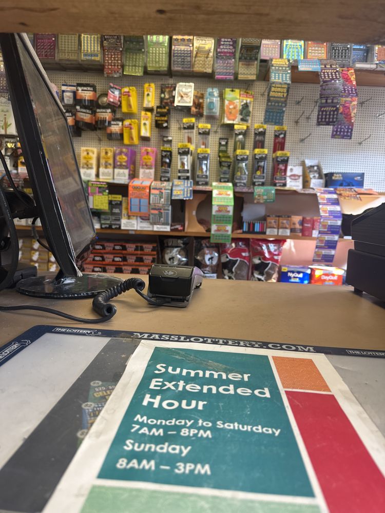 The Store Logo