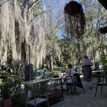 Novela Cafe Social - Outdoor seating area - Breakfast & Brunch Near Me - Miami, Florida
