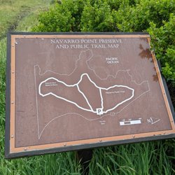 Navarro Point Preserve - Navarro Point Preserve, Albion