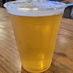 Bibo's NY Pizza - Pliny the Elder on tap