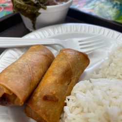 Fiesta Pilipino Restaurant and Groceries - Closer look of my Lunch Combo