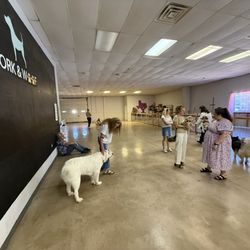Work and Woof - More play space area