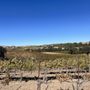 Photo of Fratelli Perata Winery