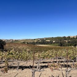 Fratelli Perata Winery