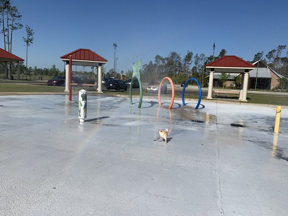 PONDEROSA PARK Updated September 2024 3104 Westwood Rd, Westlake