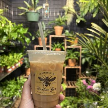 The Hive Bar - Coffee & Tea Near Me - Pawtucket, Rhode Island