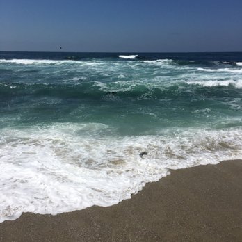 Children's Pool - Beaches Near Me - La Jolla, California