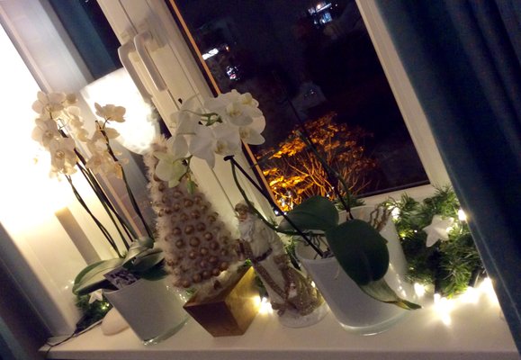 Restaurant Rolin @ Hotel Cap Polonio / Restaurant Rolin by null